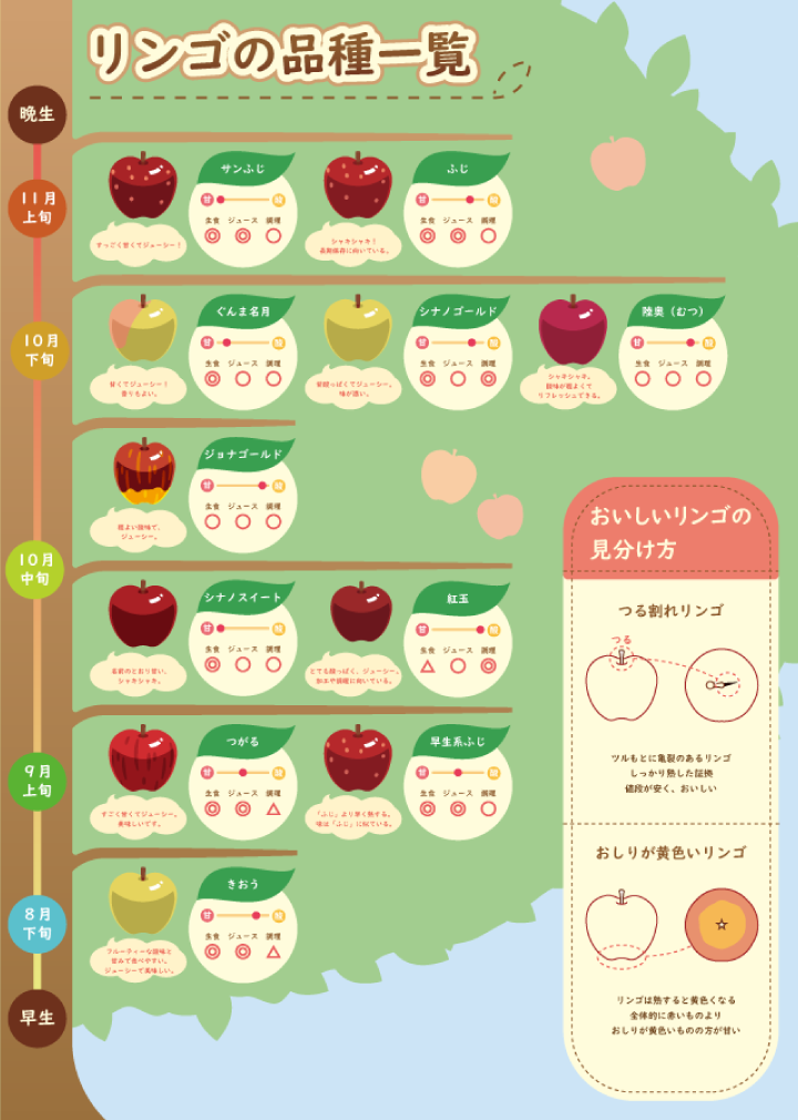 訓練生Y様のインフォグラフィックス制作作品